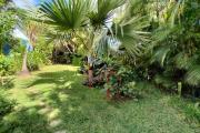 Charmante villa F6 de plain pieds avec piscine et jardin exotique de 953 m2 - Les Avirons -