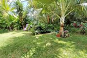 Charmante villa F6 de plain pieds avec piscine et jardin exotique de 953 m2 - Les Avirons -