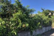 A VENDRE TERRAIN SAINT-LOUIS CENTRE