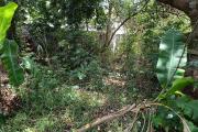 Terrain de 400 m2 viabilisé avec petite dépendance à l'Entre Deux