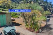 Maison F5 de 80 m2 sur terrain agricole de 2.456 m2 (Henri TAFA 0692540262).