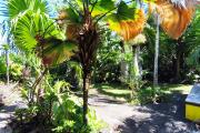Villa de 179,45 m2, face à la mer (Henri TAFA 0692540262)