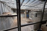 Maisons F3 + F5+ implantées sur 1260 m2 de terrain, en impasse et bord de ravine sans vis à vis.