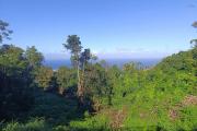Terrain de 5462 m2 constructible avec un  maximum de 16 villas et superbe vue mer Chemin de ligne  Les Avirons