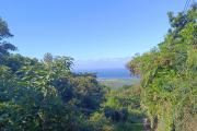 Terrain de 5462 m2 constructible avec un  maximum de 16 villas et superbe vue mer Chemin de ligne  Les Avirons