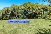 Maison F4 de 72,63 m2, jardin, terrasse - Jardin Ouest