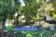 Maison F4 de 72,63 m2, jardin, terrasse - Jardin Est