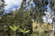 A vendre à Trois Bassins très beau terrain de 1431 m2