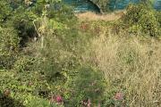  Terrain Rare -Saline les Bains -50m du Lagon