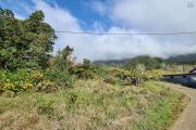 A Vendre parcelle de 641 m2 &agrave; La Plaine des Palmistes 100m2 constructible uniquement