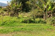 A Vendre parcelle de 641 m2 à La Plaine des Palmistes