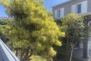 A vendre maison moderne  avec jardin opportunitée rare à Saint-Leu.