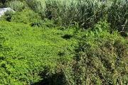 A vendre terrain plat d'environ 200 m²  St Pierre   Mont Vert les Bas