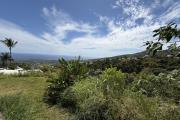 Terrain plat de 1200 m2 à 350 m d'altitude, pleine vue mer et montagne, viabilisation sur le terrain.