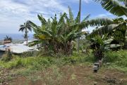 Terrain plat de 1200 m2 à 350 m d'altitude, pleine vue mer et montagne, viabilisation sur le terrain.