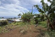 Terrain plat de 1200 m2 à 350 m d'altitude, pleine vue mer et montagne, viabilisation sur le terrain.