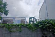 A LOUER bureau container sur un terrain de 200 m2 sur Saint-Gilles Les Hauts à 850 euros!