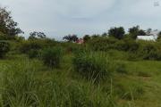 TERRAIN DE 7 690 m2 AU TAMPON BRAS CREUX