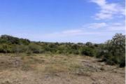 Superbe terrain constructible de 303m2 viabilis&eacute; ,belle vue mer -Littoral Sud ,trois Bassins