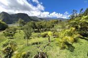 A vendre exceptionnelle Villa sur un terrain de 3100 m2 &agrave; la PLaine des Palmistes
