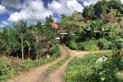 A louer maison meubl&eacute;e dans un &eacute;crin de verdure
