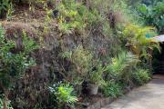 A louer maison meubl&eacute;e dans un &eacute;crin de verdure