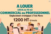 À LOUER – Bureau professionnel de 70 m² à Trois Mares - Le Tampon