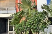 A louer ce bel appartement de type F2 sur la résidence INAIS à Sainte Clotilde.