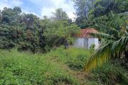 Superbe Terrain de 1268 m2 en zone UA proche centre ville Tampon