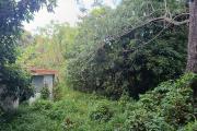 Superbe Terrain de 1268 m2 en zone UA proche centre ville Tampon