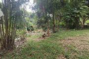 Superbe Terrain de 1268 m2 en zone UA proche centre ville Tampon