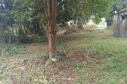 Superbe Terrain de 1268 m2 en zone UA proche centre ville Tampon