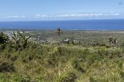 Joli terrain de 621 m² arpenté uniquement pour un projet touristique/loisir avec pleine vue mer à 250 m d'altitude