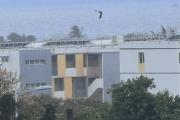 A vendre appartement de type F3 spacieux et lumineux à Sainte Clotilde
