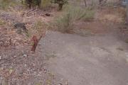 Terrain constructible de 230 m2 à la Ravine des Cabris St Pierre