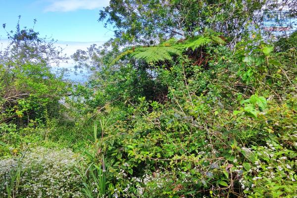Terrain constructible 1.223 m2, vue mer
