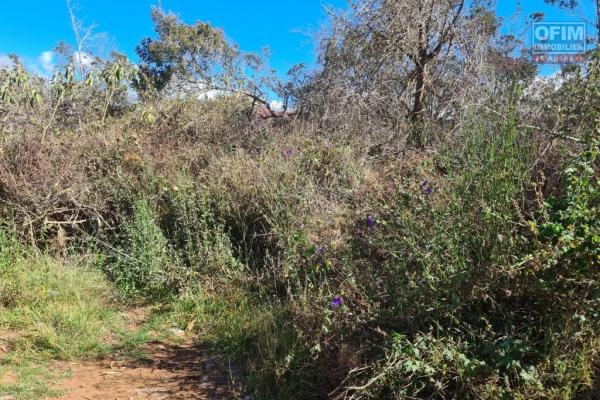 A vendre magnifique terrain plat d'environ 960 m²  Bois court  la Plaine des Cafres