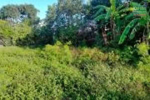 splendide terrain de 852M2 St Louis