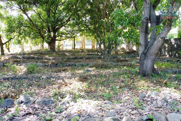 Terrain plat constructible de 856 m², St Louis.