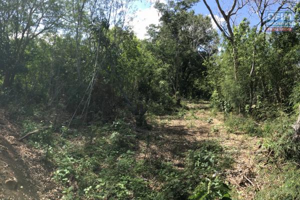 A vendre 2 parcelles de terrain constructible à La Rivière Saint Louis