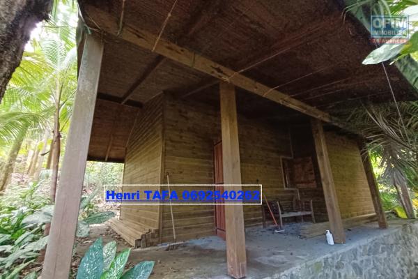 Maison en bois de 50 m2, terrasse