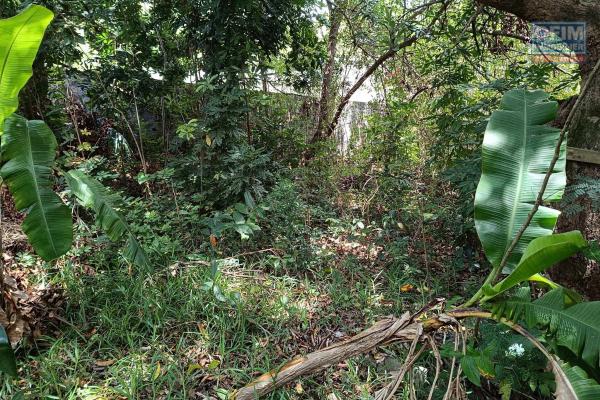 Terrain de 400 m2 viabilis&eacute; avec petite d&eacute;pendance &agrave; l'Entre Deux proche du village