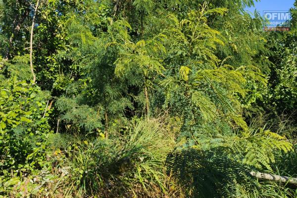 Osez le Ouaki : 850 m² de terrain plat en plein cœur d’un quartier résidentiel de La Rivière