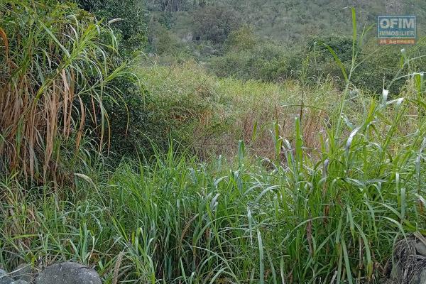 TERRAIN DE 500 M2 PALMISTE ROUGE