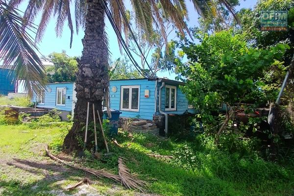 A LOUER LOCAL professionnel ou entrepôt de 130 m2 avec cour dans la zone de CAMBAIE à SAINT-PAUL