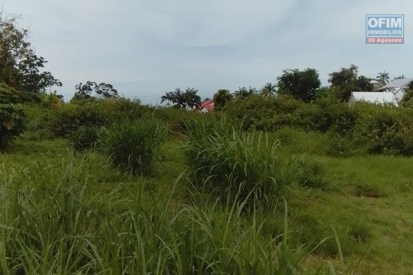 TERRAIN DE 7 690 m2 AU TAMPON BRAS CREUX