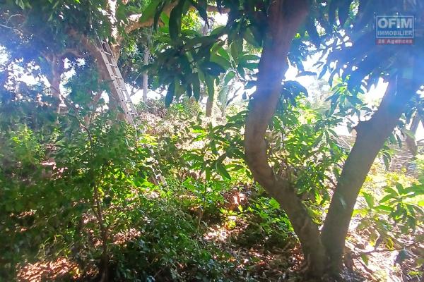 A VENDRE TERRAIN CONSTRUCTIBLE DE 445M2 A SAINT-GILLES LES HAUTS