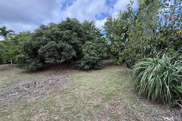 Belle parcelle de terrain plat et arboré de 476 m² situé à 180 m d'altitude au fond d'une petite impasse à La Ravine des Cabris proche du centre ville.