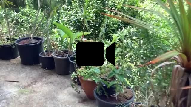A louer maison meubl&eacute;e dans un &eacute;crin de verdure