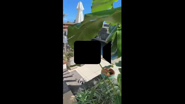 Sublime villa de standing F5 à La Rivière Saint-Louis – Deux suites parentales & Jardin d'exception avec piscine